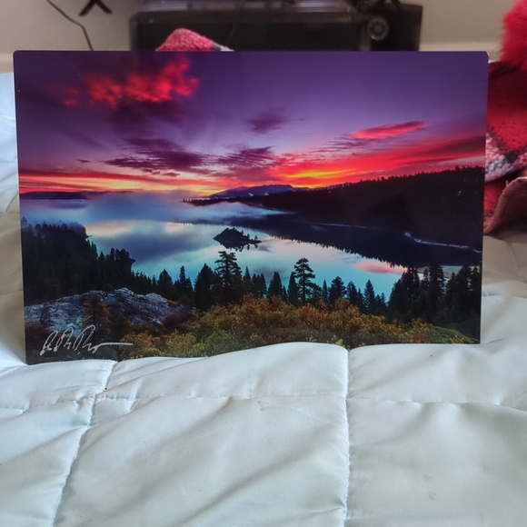 Multicolor - Picture 3 of 3